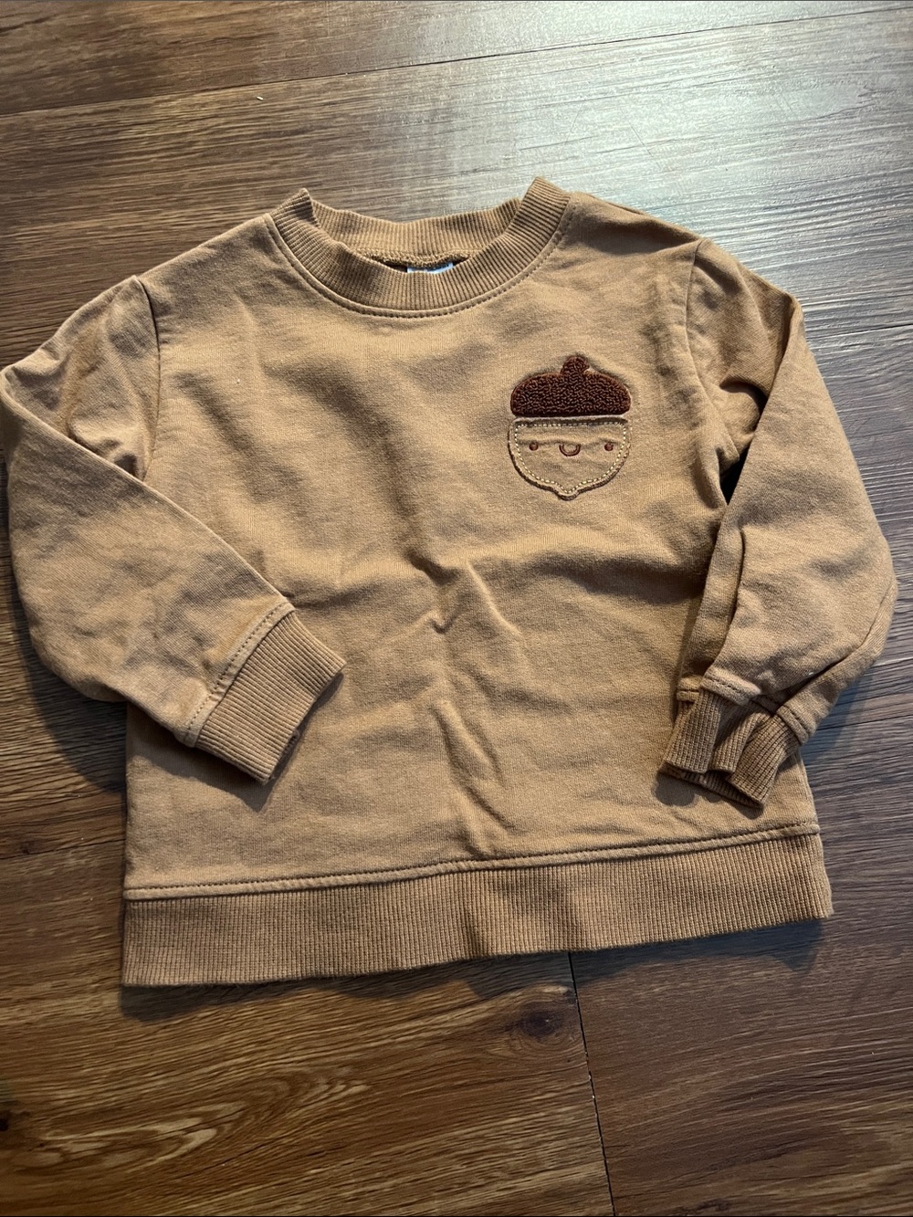 Carter's Tan Sweatshirt with Brown Acorn Applique